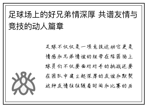 足球场上的好兄弟情深厚 共谱友情与竞技的动人篇章